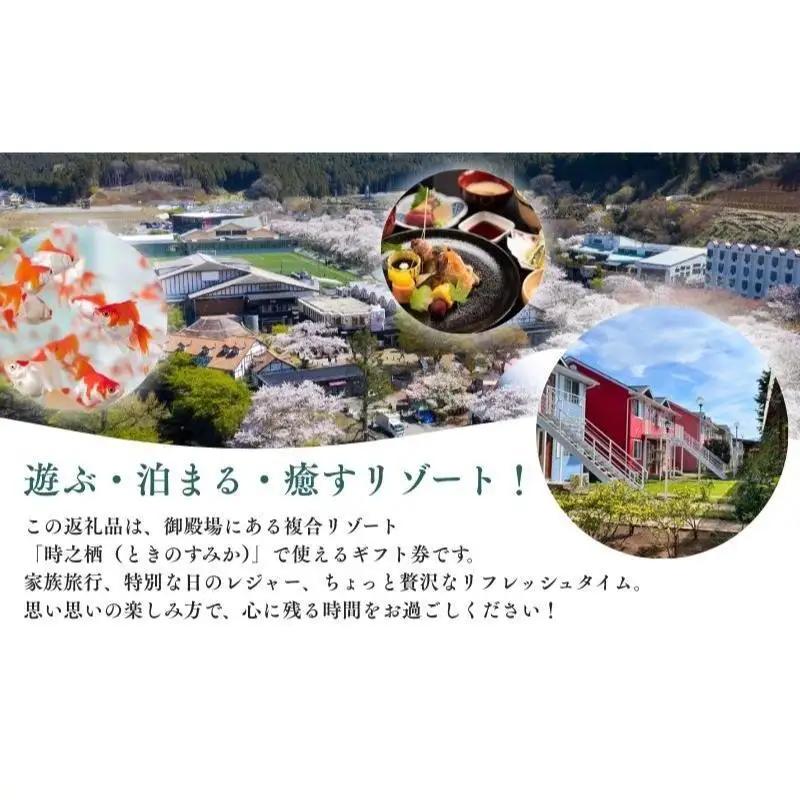 旅行 静岡 時之栖 グループ ギフト券 9,000円分 （3万円寄付コース） チケット 券 旅行券 宿泊券 食事券 利用券 ホテル 温泉 レストラン グランピング 施設 トラベル 観光 体験 旅 ギフ