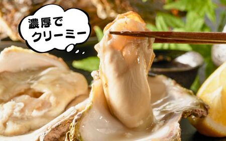 天然岩がき 小サイズ（10～15個） 3Kg 夏季限定！ 安宅産 かき 牡蠣 かき 牡蠣