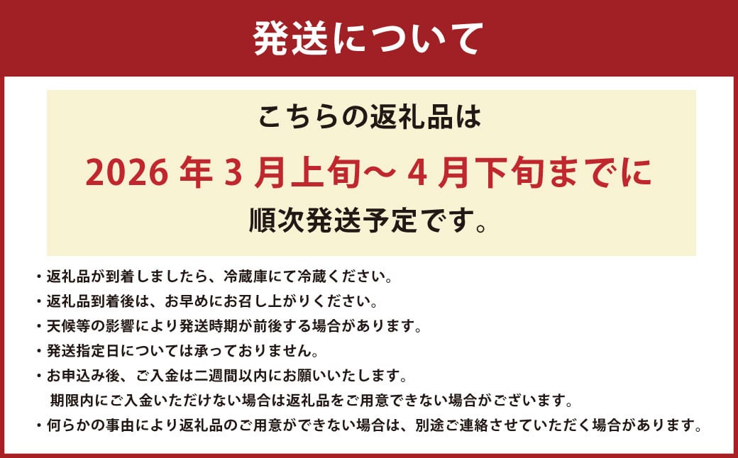 【絢】 いちご 約500g （約250g×2） 恋みのり 苺 【絢音ベリー農園】 厳選 希少