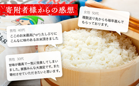 【令和8年2月中旬発送】信州立科産コシヒカリ5㎏×2袋(令和7年産米)