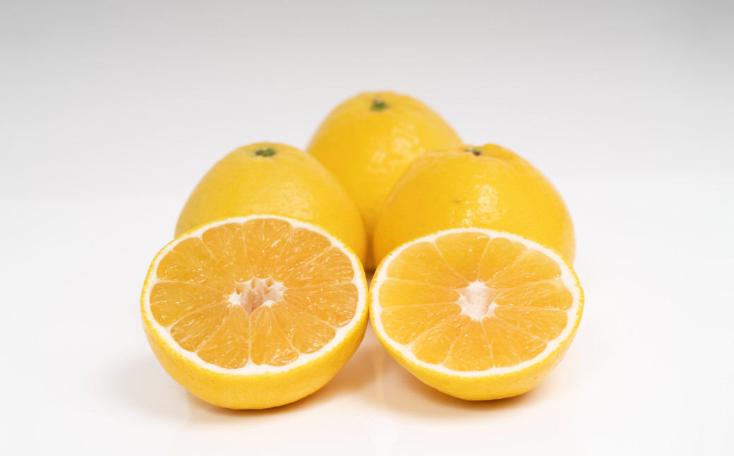 
            【訳あり】 河内晩柑 10kg 晩柑 柑橘 訳あり みかん 蜜柑 ミカン フルーツ 果物 くだもの 愛媛みかん 愛媛県産 【2026年4月下旬～5月下旬発送予定】【えひめの町（超）推し！（愛南町）】（569-1）
          