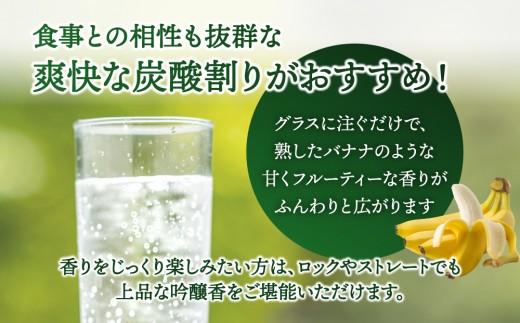 THE　BANANA 500ml（計2本）セット｜25度 500ml 泡盛 酒 お酒 アルコール 忠孝酒造 酒造 バナナ フルーティー ギフト プレゼント 贈り物 沖縄県 沖縄 豊見城市 [BY041