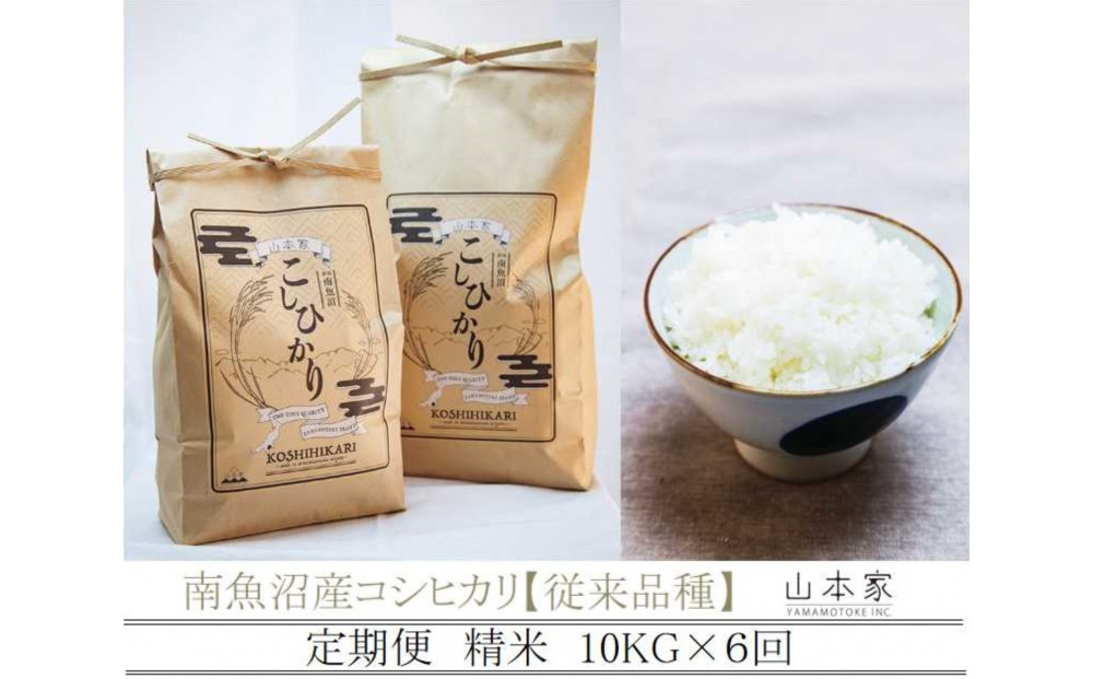 【令和8年産新米予約】【定期便】南魚沼産コシヒカリ【従来品種】精米10kg×6回 山本家【定期便 銘柄米 ブランド米 精米 こしひかり コシヒカリ 魚沼産 新潟米 お米 米】【2026年10月上旬より