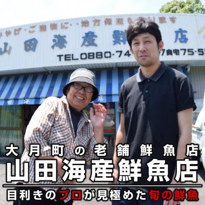 ふるさと納税 大月町 【定期便6回】山田さんちの鮮魚便(奇数月) |  | 01