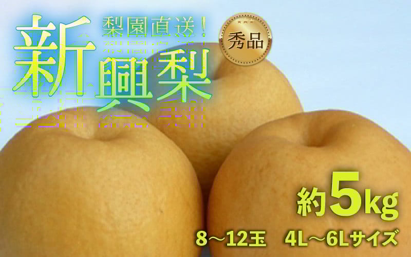
            【先行予約】上野梨園の新興梨 8～12玉入 約5kg  4L～6L【秀品】《数量限定》梨園直送！ / 期間限定 果物 フルーツ 農家直送 シャキシャキ もぎたて 旬 お取り寄せ ※2025年10月上旬より順次発送
          