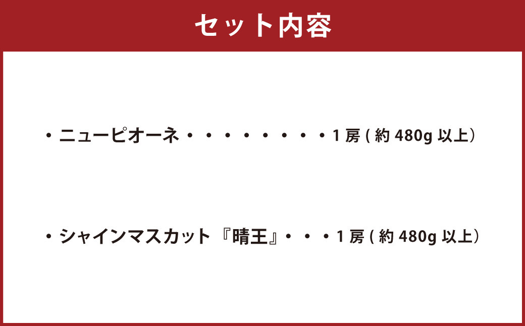 岡山県産 ぶどう詰合 ニューピオーネ 1房・シャインマスカット 晴王 1房 （各480g以上） 化粧箱入り 