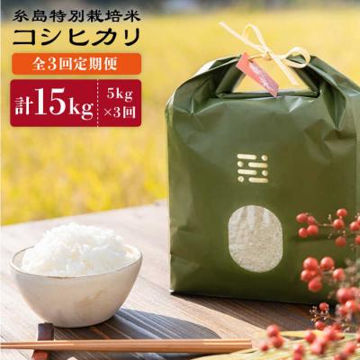 ふるさと納税 糸島市 【全3回定期便】とくべつの中のとくべつ糸島特別栽培米5kgコシヒカリ(株)やました[ARJ025]