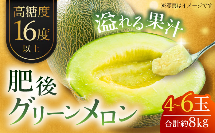 
            【先行予約】【数量限定】肥後グリーンメロン　約8kg(4〜6玉入)【日本フルーツ株式会社】 [ZFJ006]
          