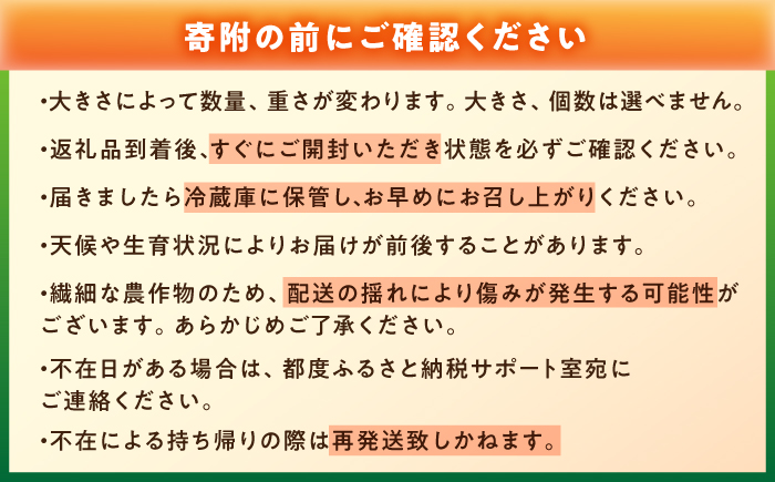 【2週間以内に発送！】【9月中旬まで受付】  トマトの宝石箱 2kg / トマト とまと 大玉トマト ミニトマト 詰め合わせ / 恵那市 / クリエイティブファーマーズ [AUAH014]