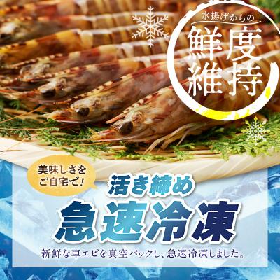 ふるさと納税 天草市 特大 車エビ 2パック セット_S059-020A |  | 02