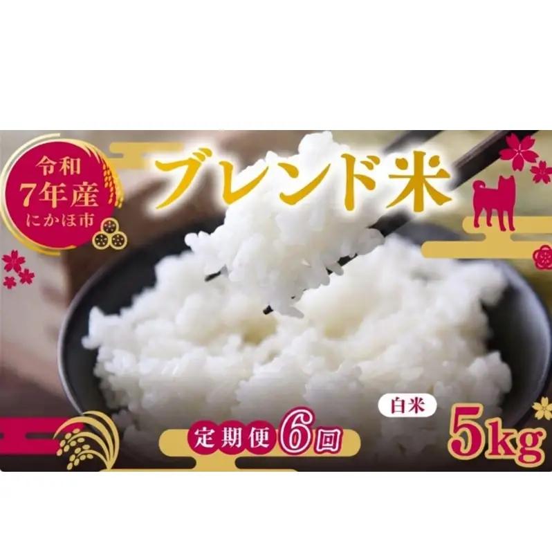 【定期便6か月】白米 ブレンド米 5kg  令和7年度産 白米