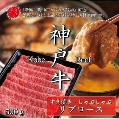神戸牛リブローススライス 500g【うすなが牧場】FU001【配送不可地域：離島】【1638845】