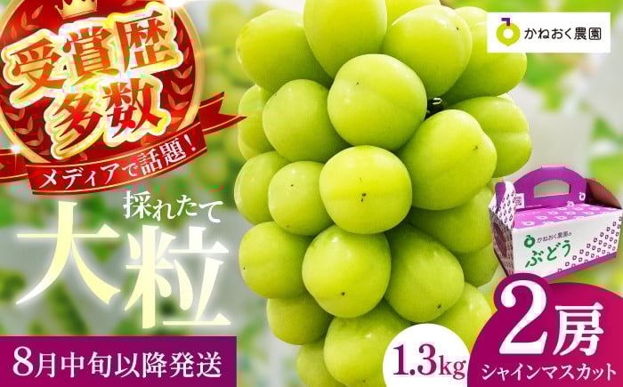 
            【2025年発送 先行予約】読売テレビ・毎日放送も取材に!数量限定シャインマスカット 1.3kg｜産地直送 大粒 完熟 期間限定 ぶどう フルーツ 果物 先行予約 種なし 旬 家庭用 プレゼント 柏原市	
          