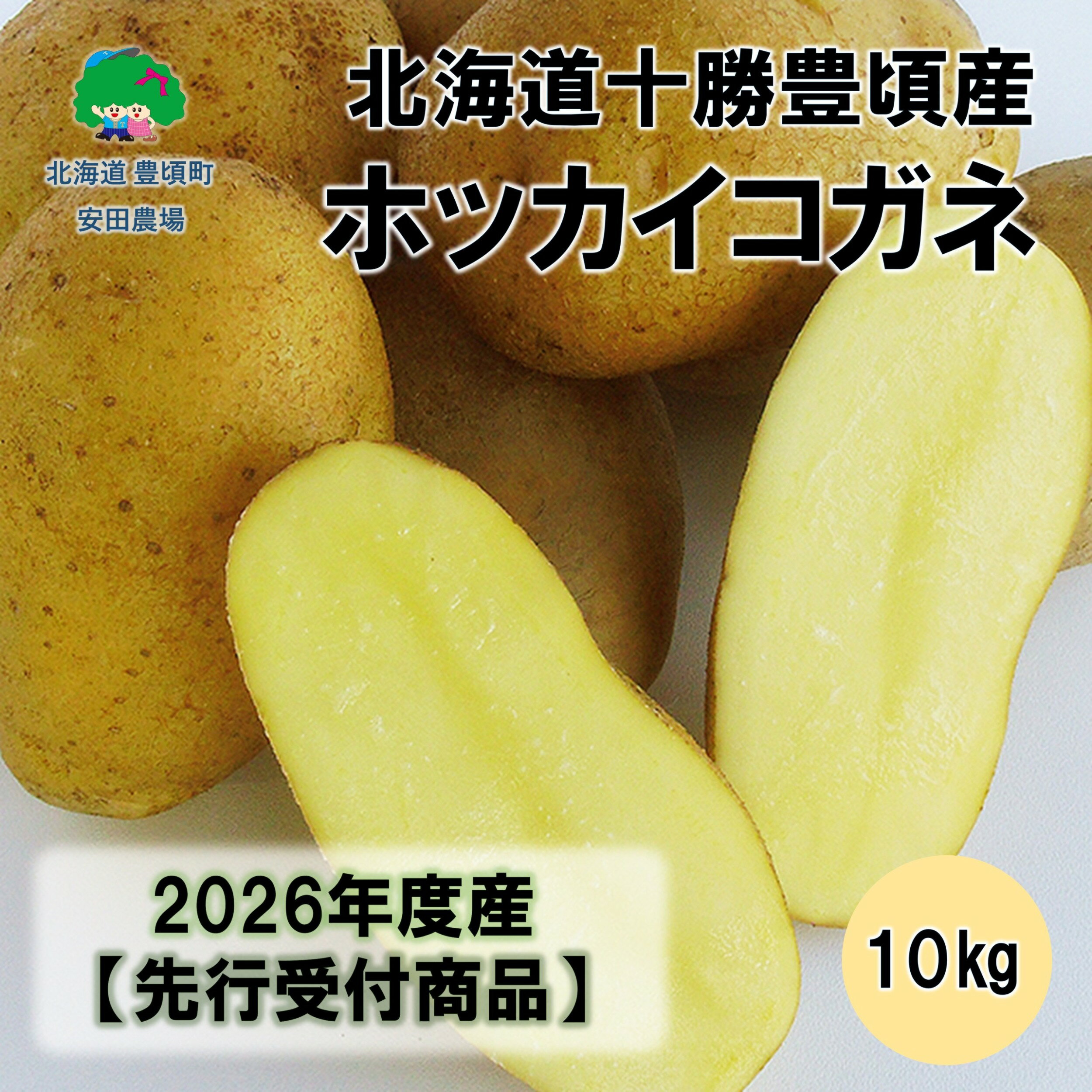 【ふるさと納税】北海道十勝豊頃産ホッカイコガネ10kg 【2026年秋出荷】（先行受付）［安田農場］" 北海道 十勝 豊頃町 " 先行予約 予約 特産 農家直送 数量限定 送料無料 じゃがいも ジャガイモ いも ホクホク ほくほく 甘い 野菜《10月下旬頃出荷》
