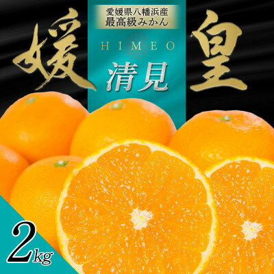 【ふるさと納税】最高級みかん 媛皇 清見 2kg 愛媛県 八幡浜市 西宇和地区 柔らかい果肉【D25-348】【配送不可地域：離島】【1716845】