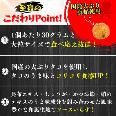 ふるさと納税 豊前市 【毎月定期便】国産真蛸使用 こだわりの冷凍たこ焼き!(15個入1袋)全3回 |  | 01