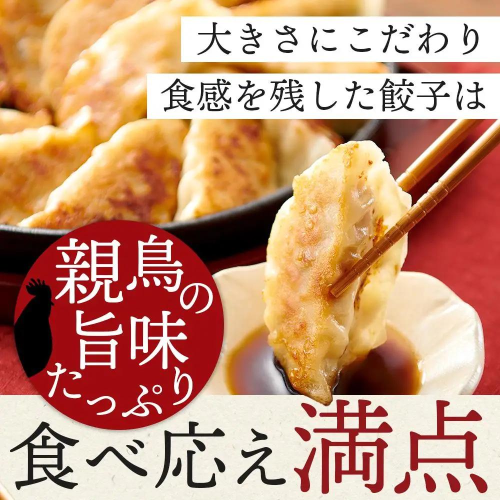 親どり専門店が作る親鳥餃子（50個×2セット）
