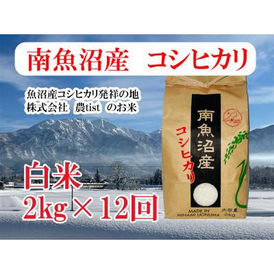 ふるさと納税 南魚沼市 【毎月定期便】南魚沼産 コシヒカリ 白米2kg全12回