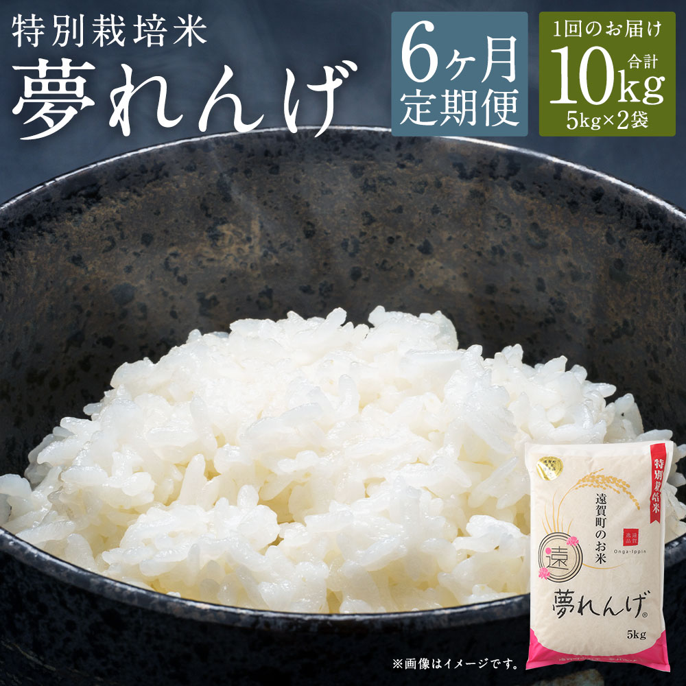 【ふるさと納税】【6ヶ月定期便】特別栽培米 夢れんげ 10kg 5kg×2袋 6回配送 合計60kg 定期便 夢つくし 元気つくし 精米 白米 お米 米 福岡 遠賀町産 九州産 国産 送料無料【2024年10月下旬発送開始】