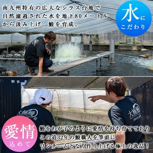 うなぎの大楠＜特大＞1尾170g うなぎ 鰻 ウナギ 1尾 国産 九州産 蒲焼き かばやき 冷凍 うな重 ひつまぶし タレ 山椒 真空パック ランキング 人気 a1-104