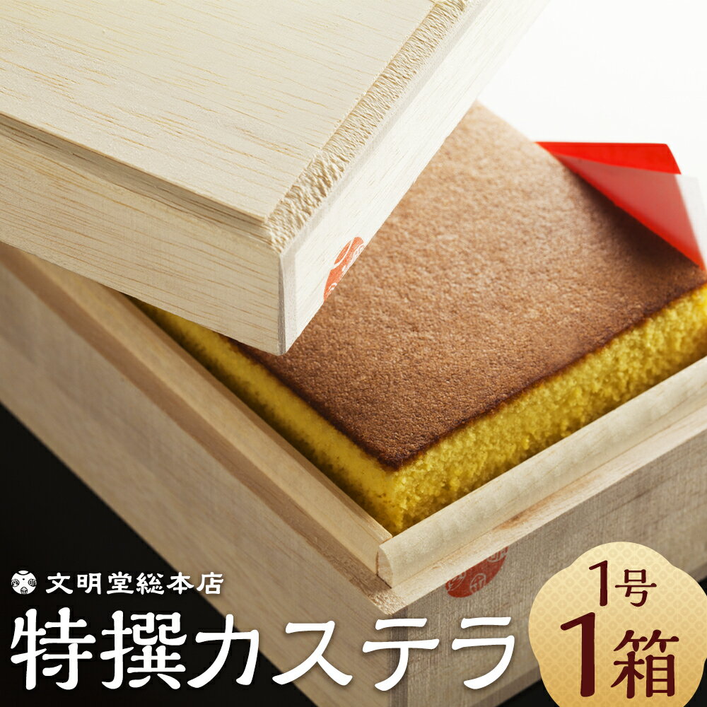 【ふるさと納税】特撰カステラ 1号 580g 1箱 カステラ カット済み お菓子 スイーツ デザート 長崎カステラ カステラ かすてら 和三盆 ざらめ おやつ 菓子 木箱入り 贈答 ギフト 贈り物 プレゼント 常温 文明堂 長崎 送料無料
