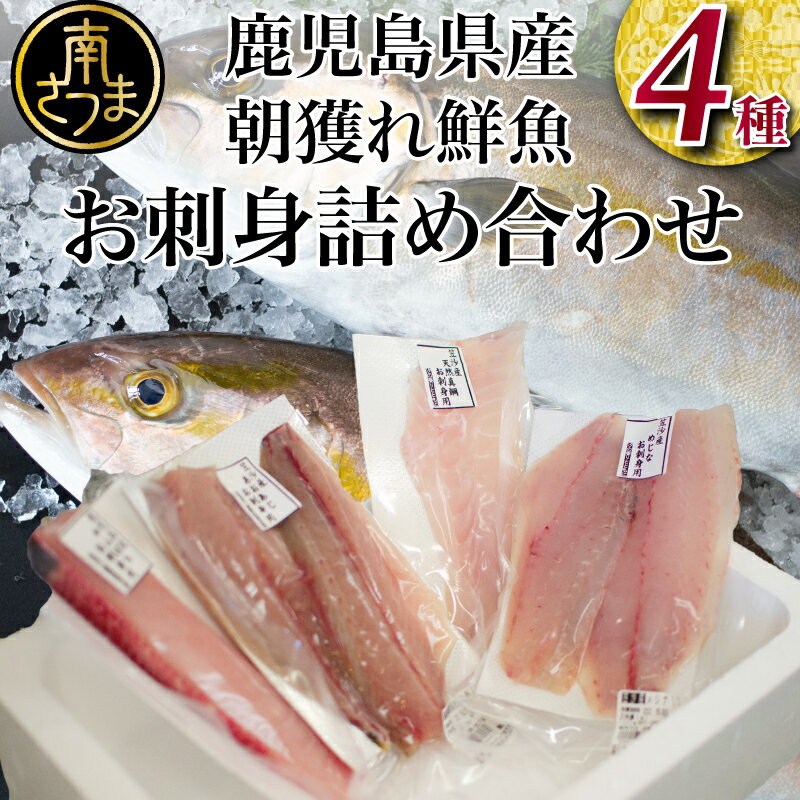 【ふるさと納税】【漁師厳選】朝獲れ お刺身 詰め合わせ（4種） レビューキャンペーン実施中 魚 おつまみ おかず 冷蔵 刺身 鮮魚 （有）ヤマチョウ 送料無料 鹿児島県産 海鮮ボックス 海鮮box 直送 セット 鮮魚ボックス 鮮魚直送詰め合わせ