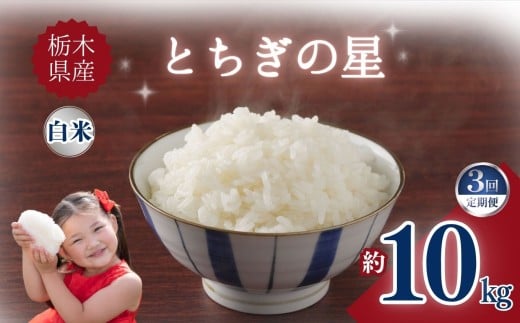 【定期便3回】栃木県産とちぎの星 10kg | お米 米 こめ ご飯 美味しい ふるさと 栃木県 矢板市 【栃木県共通返礼品】 ブランド米