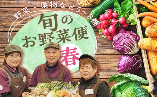 
             鏡石のうまいもの野菜の直送便（春）果物 詰め合わせ つめ合わせ セット 福島県 鏡石町 F6Q-133
          