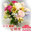 【ふるさと納税】お花（生花）の定期便 1か月に2回お届け 全6回 全12回 全24回 花 定期便 生花 お花 鳥取県 倉吉市 お楽しみ おまかせ お任せ 鉢 母の日 父の日 敬老の日