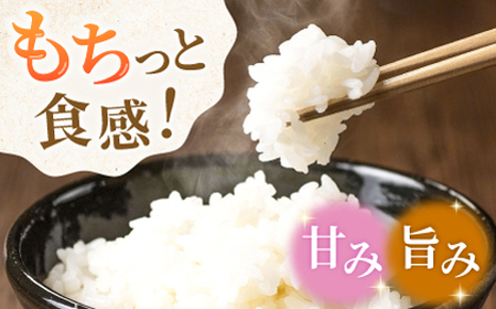 合鴨米 5kg 【あいがもん倶楽部】[ZAR026]