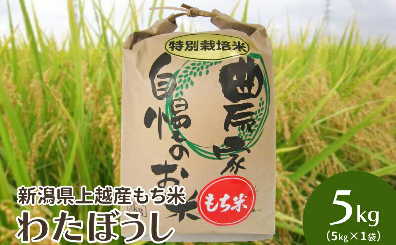 【ふるさと納税】米 令和6年・新潟県上越産｜もち米「わたぼうし」新潟県特別栽培米｜5kg（白米） お米 もち米 新潟　年内お届け 年内発送 年末お届け 年末配送　お届け：ご注文後、2～3週間を目途に順次発送いたします。