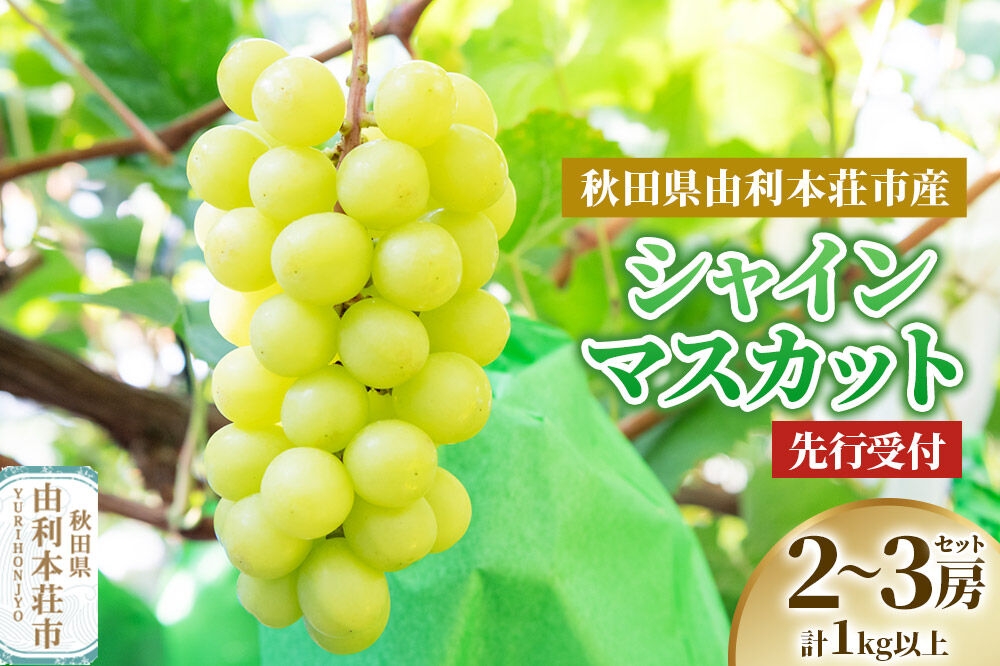 
                  秋田県由利本荘市産 シャインマスカット 2～3房セット
                
