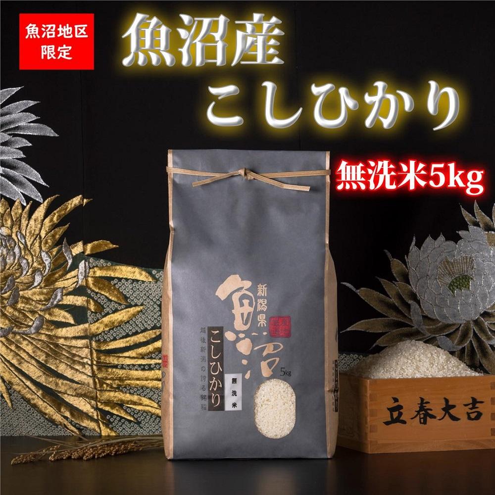 【令和7年産 新米予約】魚沼産コシヒカリ【無洗米5kg】【令和7年10月中旬以降発送】【米 お米 こしひかり 南魚沼 米 無洗米 こめ 新潟 米】