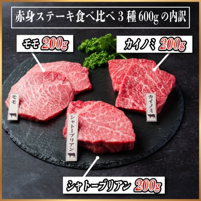 飛騨牛　赤身ステーキ3種食べ比べセット　計約600g(シャトーブリアン・カイノミ・モモステーキ)【配送不可地域：離島】