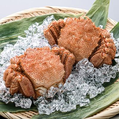 ふるさと納税 森町 【北海道産】産地直送　冷凍浜茹で毛ガニ(約330g前後〜約370g前後)×2杯