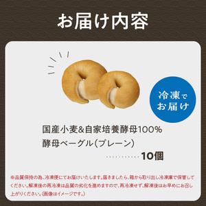 国産小麦＆自家培養酵母100％　酵母ベーグル10個 ベーグルセット プレーン ベーグルパン パンベーグル もちもちベーグル  酵母 ベーグル 065-09