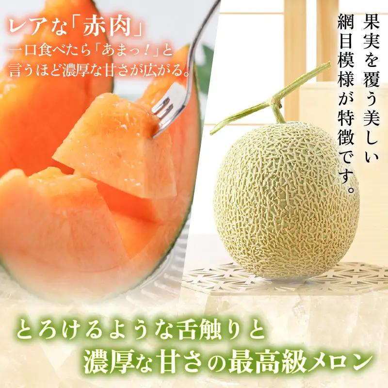 【先行予約】【赤肉】秋 アールスメロン 2玉（計約3.2kg以上）赤肉品種 高級メロン！ ／ マスクメロン 大玉 果物 フルーツ 夏 ギフト 農家直送  ※2026年9月中旬以降発送  [aw065-
