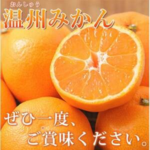 【2024年11月下旬より発送】赤秀品　紀州有田産濃厚完熟温州みかん　3kg(MorS)【日高町】【1217244】