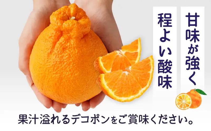 【先行予約】ハウスデコポン約5kg（12－24玉）【香川県共通返礼品】 | デコポン 甘い 酸味 柑橘 柑橘系 果物 フルーツ 青果 デザート グルメ おすすめ 贈答 贈り物 贈答用 ギフト プレゼン