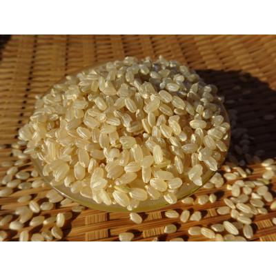 ふるさと納税 綾町 完全自然米玄米 計2.7kg 令和7年産 |  | 01