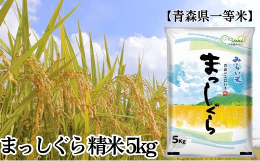 「令和7年産」まっしぐら 精米 5kg【青森県産 一等米】 お米