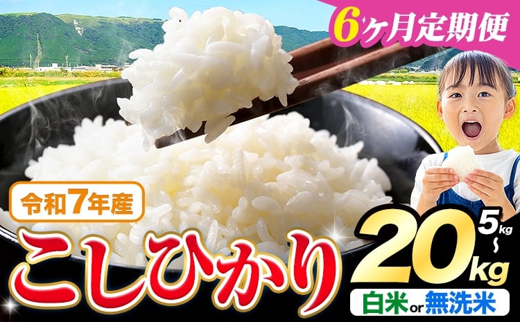 
            【6ヶ月定期便】令和7年産  無洗米 も選べる こしひかり 5kg 10kg  20kg 定期便 も選べる《お申込みの翌月出荷》熊本県産 ふるさと納税 無洗米 白米 精米 ひの 米 こめ ふるさとのうぜい コシヒカリ コメ お米 おこめ
          