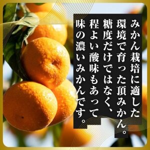 三代目の頂みかんTHEプレミアム【小玉サイズ】5kg【C31-19】【1088576】