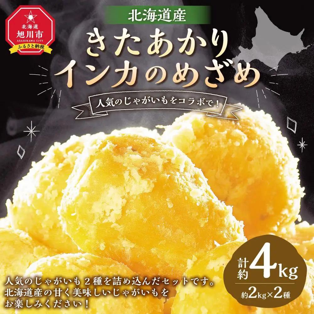 【2026年先行予約】じゃがいもをコラボで! きたあかり×インカのめざめ (各2kg) 10月下旬発送開始 | じゃがいも _03649