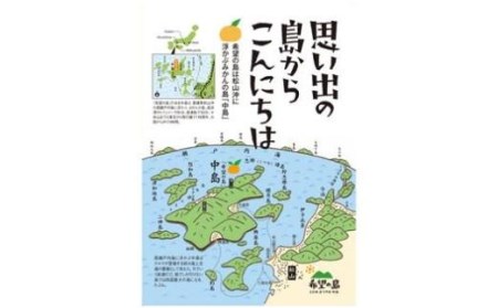 【12月中旬から発送】 希望の島 愛果28号 家庭用 約3kg 愛媛 中島産 【FT032_x】
