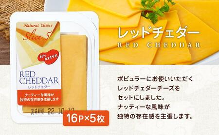 スライスチーズ　レッドチェダー　16パック×5枚（計80枚）【チーズ スライスチーズ 乳製品 加工食品 チーズ おつまみ セット トッピングチーズ チェダーチーズ レッドチェダーチーズ ナチュラルチー