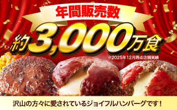【全12回定期便】ジョイフル ハンバーグ スペシャル 詰め合わせ 3種 30個セット 《築上町》【株式会社 ジョイフル】 [ABAA044]