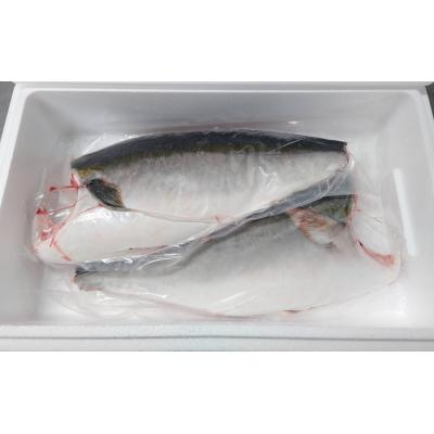 ふるさと納税 多度津町 オリーブハマチ　冷凍　カマ・鱗付き半身2枚　約3kg(原体4.6kg)【B-55】 |  | 01