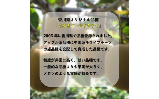 【2026年10月下旬～】 キウイ さぬきゴールドキウイ 選べる 2kg ゴールドキウイ キウイフルーツ 果物 フルーツ くだもの ゴールド 旬 ドライフルーツ 朝食 おやつ デザート 季節 先行予約