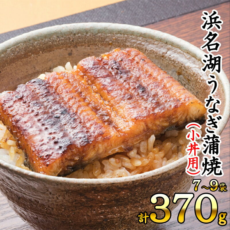 【ふるさと納税】浜名湖うなぎ蒲焼（小丼用）計370g 【訳あり】サイズ不揃い7～9袋 加工品 養殖 老舗 手焼き 百貨店 ギフト カット 湯せん レンジ 美味しい 冷凍 食べきり 便利 簡単 調理 土用の丑の日 静岡県 浜松市